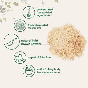 Marca Privada, Polvo de Melena de León 100% Natural, Rico en Polisacáridos, Superalimento, Compra al por Mayor, Sin Aditivos, 454g 1lb - Product Image 4