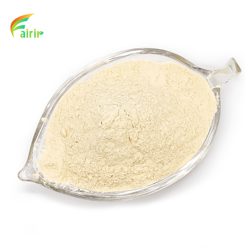 Wholesale Detergent Grade Alkaline Protease Enzyme