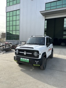 Vehículo Eléctrico de Cuatro Ruedas Yuanqida con Batería de Litio, Homologado por EEC y <span class=keywords><strong>DOT</strong></span>, Legal para Circular en la Calle, de Baja Velocidad, para Europa y EE. UU. - Product Image 6