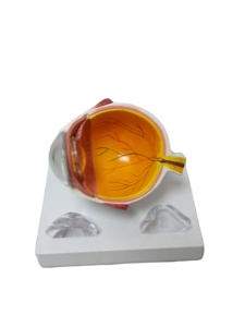 Modèle d'instruments optiques LTB-M2, équipement ophtalmique avec machine oculaire, autres caractéristiques, modèle d'<span class=keywords><strong>ophtalmologie</strong></span> pour les cliniques hospitalières - Product Image 5