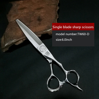 Ciseaux de coupe professionnels Titan, ciseaux de coiffure, ciseaux pour coiffeurs