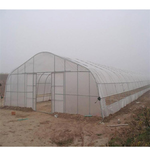 Film PE anti-UV AGG blanc jaune <span class=keywords><strong>200</strong></span> <span class=keywords><strong>microns</strong></span> <span class=keywords><strong>pour</strong></span> couverture de <span class=keywords><strong>serre</strong></span> agricole - Product Image 1