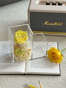 Rosa Decorativa in Scatola Regalo in Acrilico, Fiore Eterno Vero, Testa di Rosa Stabilizzata per Natale e San Valentino - Product Image 5