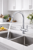 Robinet de cuisine DOGO en acier inoxydable 304, mitigeur d'évier extractible 5 voies, 5-en-1 avec douchette extractible et robinet d'eau potable filtrée, produit phare en ligne