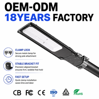 Lampe de rue LED intelligente ODM DOB IP65 140Lm/W pour éclairage extérieur commercial et urbain