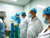 Comprimés de Vitamine B12 à Marque Blanche, 30 et 60 Comprimés, 2000mcg, Saveur Baies Naturelles, Complément Alimentaire, Vente en Gros OEM