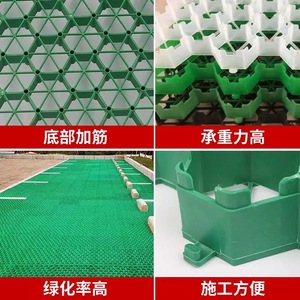 555 Plastic Grass Pavers Hexagonal Grids For Parking Lot Fire Lane Greening Slope Protection - Product Image 3