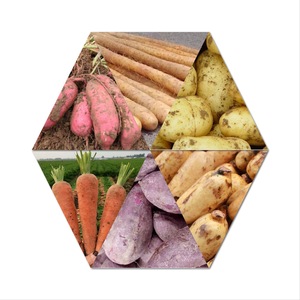 Efficiency High Capacity Durable Rotary Drum <b>Fruit</b> <b>Vegetable</b> Potato Washing And Peeling <b>Machine</b> For Sale - Product Image 5