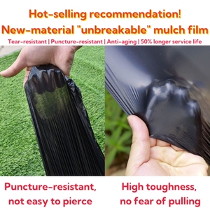 Película de Cobertura Biodegradable <span class=keywords><strong>para</strong></span> Control de Malezas, Película de Polietileno Negra/Plateada <span class=keywords><strong>para</strong></span> Agricultura - Product Image 5