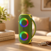 BKK / OEM 20W IPX5 Enceinte portable avec lumière RGB pour fêtes en extérieur