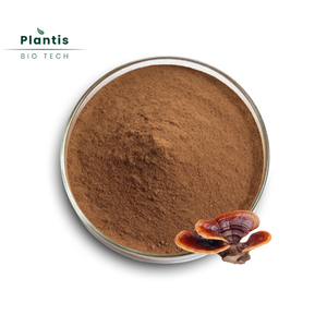 100% Natuurlijke Reishi Paddestoel <span class=keywords><strong>Extract</strong></span> Immuunondersteuning & Energie Boost Reishi Poeder - Product Image 1