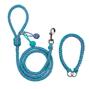 Correa de Nailon Trenzado Rosa Turquesa para Perros Medianos, Diseño Manos Libres, Reflectante, Estilo Simple - Product Image 1