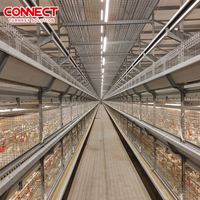 Cage automatique de batterie de poulets de chair de volaille de volaille Coop équipement d'élevage de ferme de grande capacité gestion de système de nouvelle usine