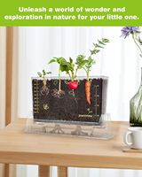 Kit de visualisation des racines pour enfants de 5 à 12 ans, 6 variétés de graines, kit scientifique STEM, jouet de jardinage éducatif pour cadeaux de Noël et d'anniversaire