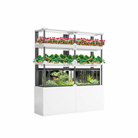 Système aquaponique vertical automatique Seedafarm pour balcon, pour usage domestique, plantation hydroponique avec pompe et garantie d'un an