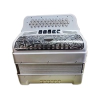 Accordéon diatonique OEM, 34 boutons, 12 basses, 5 registres, corps blanc brillant, grille argentée, boutons blancs JB3412D