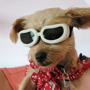 Durable Welpen Katze Sonnenbrille UV Schützen Sonnenbrillen Mode Hund Brille Pet Zubehör - Product Image 4