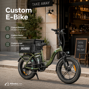 Bicicleta Eléctrica de 750W para Reparto, 48V50AH, Gran Autonomía, Neumático Grueso de 20 Pulgadas, Bicicleta Eléctrica de Carga con Especificaciones Personalizables, Precio de Fábrica - Product Image 1