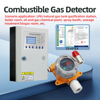 Détecteur de C2H2, capteur de combustion catalytique, capteur infrarouge NDIR compensé, détecteur numérique de fuite de gaz acétylène, détecteur de C2H2