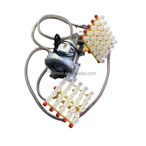 Système <span class=keywords><strong>de</strong></span> transfert automatique d'oeufs Table <span class=keywords><strong>de</strong></span> mirage d'oeufs et machine <span class=keywords><strong>de</strong></span> transfert Élévateur d'oeufs en acier inoxydable 304 - Product Image 3