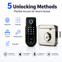 Serrure de porte intelligente étanche avec empreinte digitale biométrique pour portail ancien, application Tuya