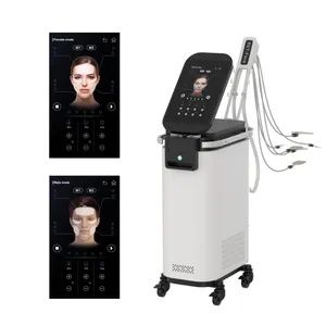 Vertical EMRF Peface EM Rf V Line Face Lifting Machine Ems Pe Face Sculpt Machine