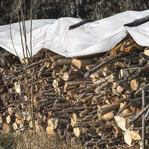 Bâche en polyéthylène renforcé - Toile PE haute résistance pour équipements et empilages de <span class=keywords><strong>bois</strong></span> - Product Image 3