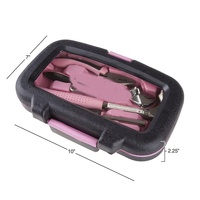 Clé à molette combinée Marteau Pince 15 pièces Ensemble d'outils en boîte rose pour femmes