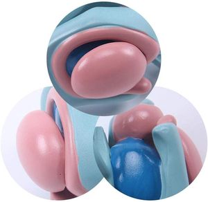 Scienza dell'insegnamento medico ingrandire i gangli della base modello anatomico del modello ventricolo-gangli della base-talamo-ventricolo - Product Image 5