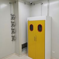 Armoire de sécurité au gaz BYG en acier inoxydable compatible avec régulateur de gaz haute pression pour le stockage de gaz inflammables, régulateur de pression de gaz