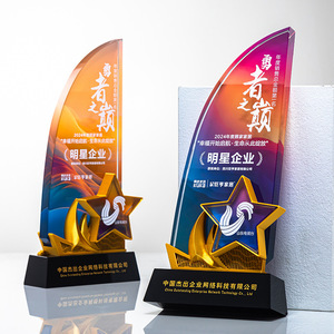 Crystal Glass 3D <b>Trophy</b> With 2025 Laser <b>Engraved</b> Digital Printing For Sales Champion Award Ceremony Business Gift - Product Image 5
