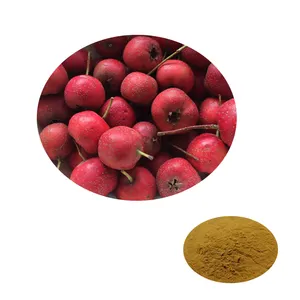 Factory Sale Various Widely Used Hawthorn fruit powder Hawthorn Berry Powder Hawthorn powder Day Natural