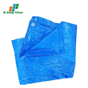 Best Choice For Imports High Quality Light Duty 4X6 Pe Tarp Laminate Sheet Philippines