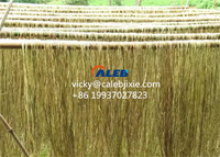 Extracteur de fibres de kenaf, abaca, banane et lin de bonne qualité, décortiqueuse, séparateur, machine de séparation, machine d'extraction de kenaf, machine pour palmier