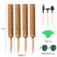 Fibres de coco naturelles, retenant l'eau, longueur allongée pour plantes grimpantes, avec kits de fixation offerts, emballage personnalisé avec logo.