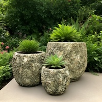 Jardinières rustiques en ciment vintage, durables et écologiques, pour plantes succulentes, décoration de jardin intérieur et extérieur, design circulaire, pots à fleurs