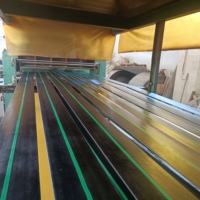 Nastro Trasportatore per Elevatore a Benna, Nastro Industriale Resistente per Movimentazione Verticale dei Materiali