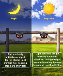 La luz roja del jardín parpadea brillantemente estilo búho Animal disuasorio expulsar ratón repelente de pájaros dispositivo Solar repelente de animales - Product Image 6