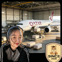 Service de fret aérien et maritime Chine-Dubaï DDP porte-à-porte, dédouanement, prix compétitifs, transit en 3-7 jours, paiement en ligne Alibab