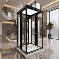 Nouvelle cabine d'ascenseur résidentielle personnalisée en métal avec panneau de plafond, éclairage d'ambiance et miroir pour villa et maison