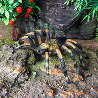 Jouets cognitifs pour enfants yxs, modèles d'insectes et d'animaux simulés, grande araignée tarantule, ornement d'Halloween pour farces et tours, à l'effigie d'un insecte venimeux