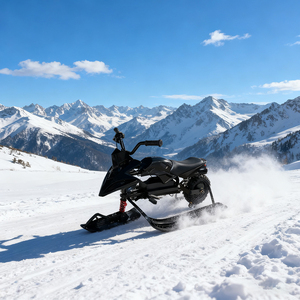Moto <span class=keywords><strong>de</strong></span> Nieve Eléctrica Todoterreno con Tracción en las Ruedas, Estilo Touring, 36V, Carga <span class=keywords><strong>de</strong></span> 60 kg, Ángulo <span class=keywords><strong>de</strong></span> Ascenso <span class=keywords><strong>de</strong></span> 20° - Product Image 5