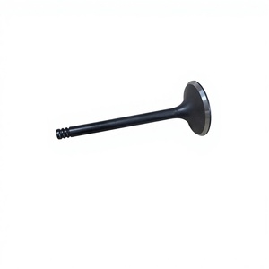 Nueva Válvula de Motocicleta de Acero Inoxidable Road Passion para <span class=keywords><strong>Djebel</strong></span> 250 DR250 DR-Z250 para KLX250 KLX300 BR250 Z250SL - Product Image 4