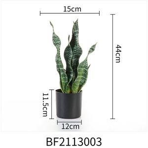 Vente en gros d'usine, plante artificielle Sansevieria <span class=keywords><strong>Trifasciata</strong></span> de marque BF, matière PE, couleur verte, bonsaï d'intérieur/extérieur, jardin - Product Image 2