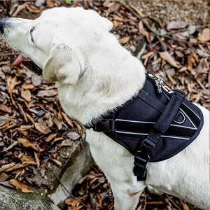 1000Dオックスフォードヘビーデューティ犬用ハーネスグラブハンドル付きぴったり犬用ベスト追加コンフォートネオプレン裏地付き - Product Image 6