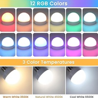 Ampoule LED RGB à télécommande pour décoration de fête, ampoule LED pour utilisation en soirée, ampoule LED E14/26/27, lampe LED, décoration de vacances, ampoule LED rechargeable