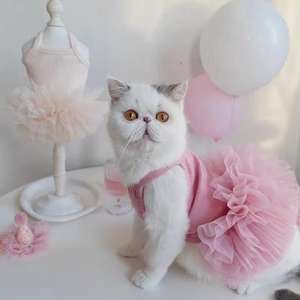 Robe <span class=keywords><strong>de</strong></span> princesse moderne en polaire douce à rayures d'été avec jupe en tulle moelleuse pour chats et petits chiens - Product Image 1