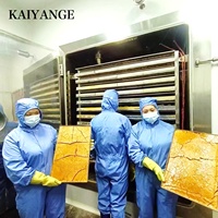 KAIYANGE 3g Enkelvoudige Donkerroze Lychee Fruitextract Vriesgedroogde Kubus Direct Oplosbare Energie Ondersteunende Thee Blok Kantoor Reizen