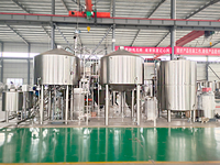Système de brassage artisanal complet Tonsen 500L 5HL 5BBL SUS304, brasserie à 2-4 cuves, fermentation, CIP, PLC, vapeur électrique, certifié CE