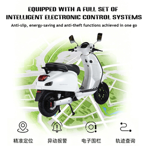 Scooter Eléctrico Retro de 1000W 72V 30AH con Doble Freno de Disco Hidráulico, TCS, NFC, Alarma Remota, Fabricante OEM, 3 Años de Garantía, CE - Product Image 3